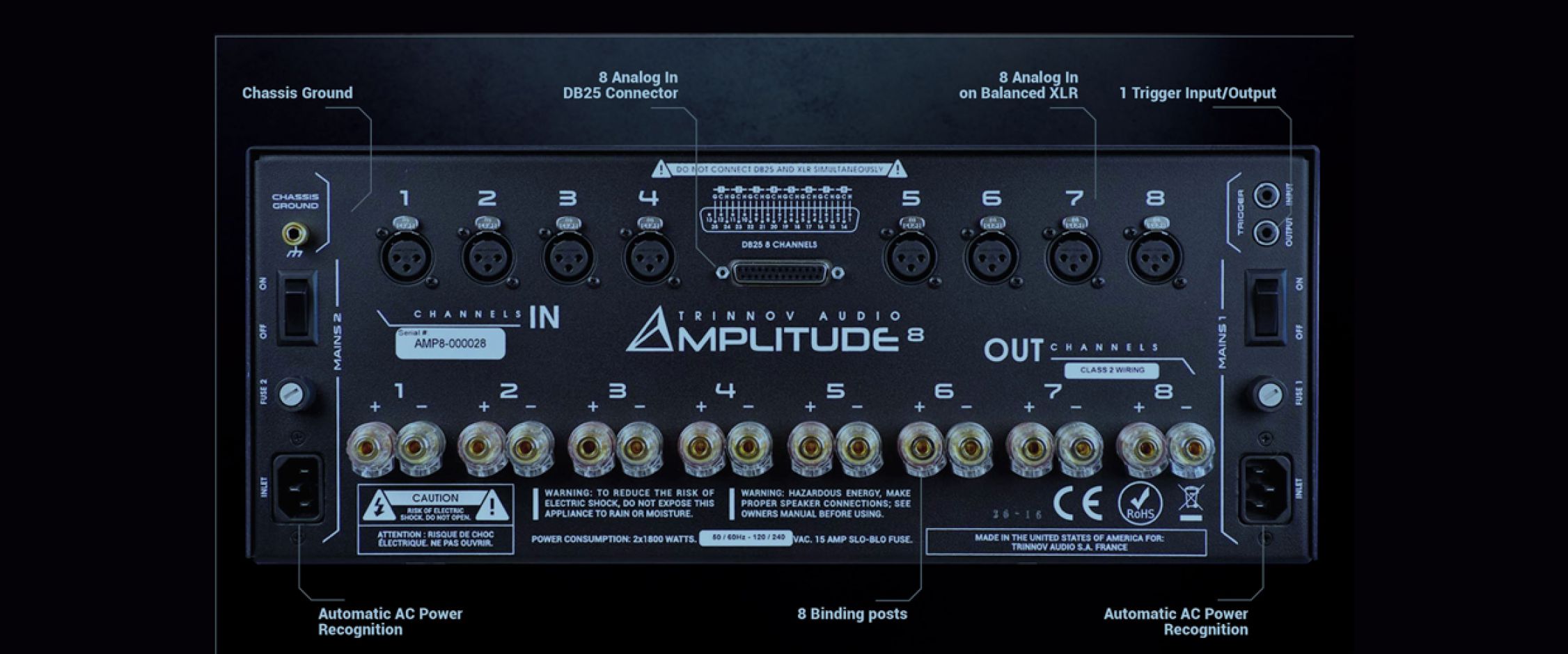 amplitude 8_back